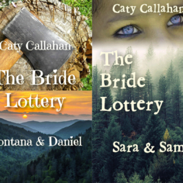 The Original Bride Lottery Series (first four novels) published more than a year before Kristin Holt copied them