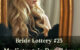 Bride Lottery 25 Magistrates Daughter by Caty Callahan | Romances for everyone