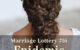 Marriage Lottery 16 Epidemic by Caty Callahan | Romances for everyone