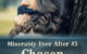 Miserably Ever After 5 Chosen by Caty Callahan | When your husband is too terrible to keep